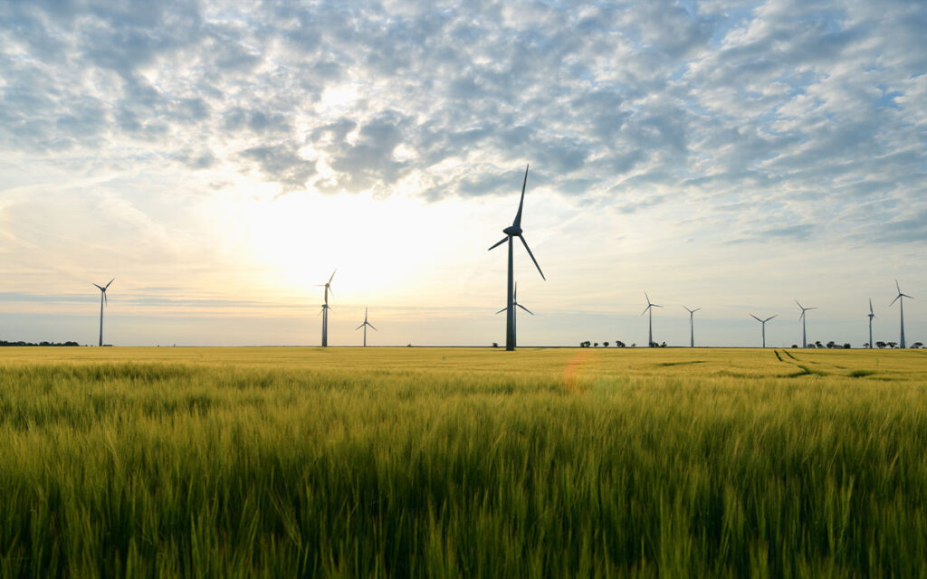 Effiziente Energieverwaltung für Windparks